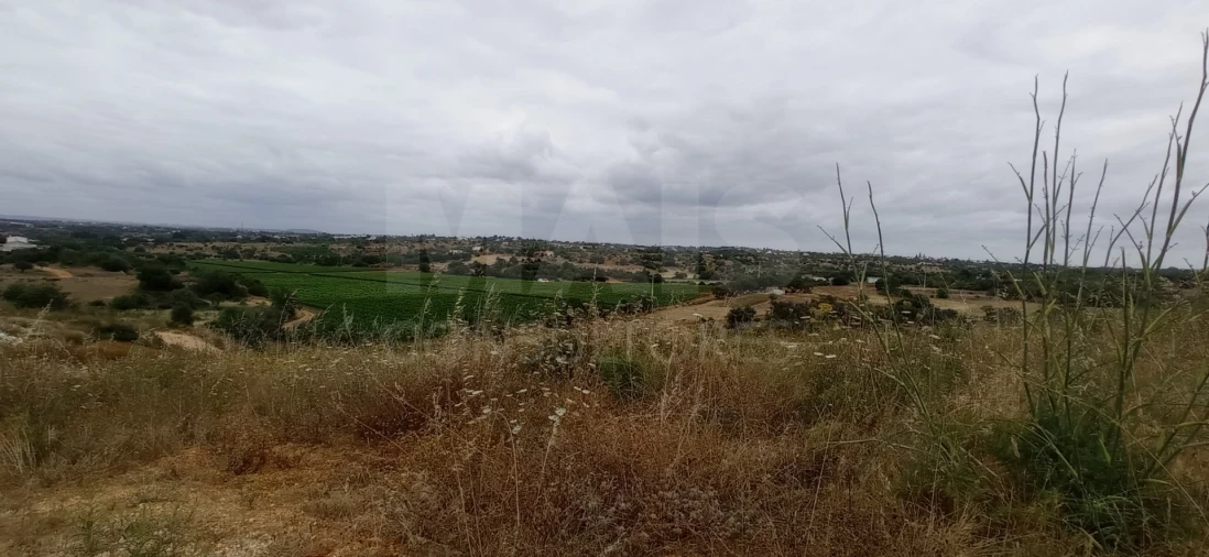 Quinta para Venda em Guia Foto 6