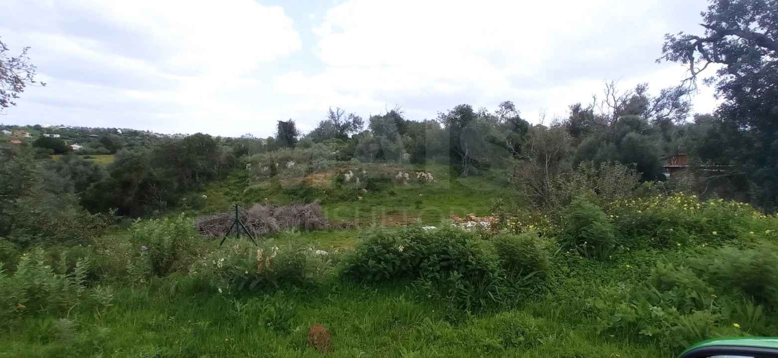 Quinta para Venda em Guia Foto 2