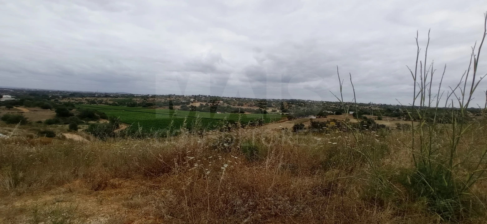 Quinta para Venda em Guia Foto 6