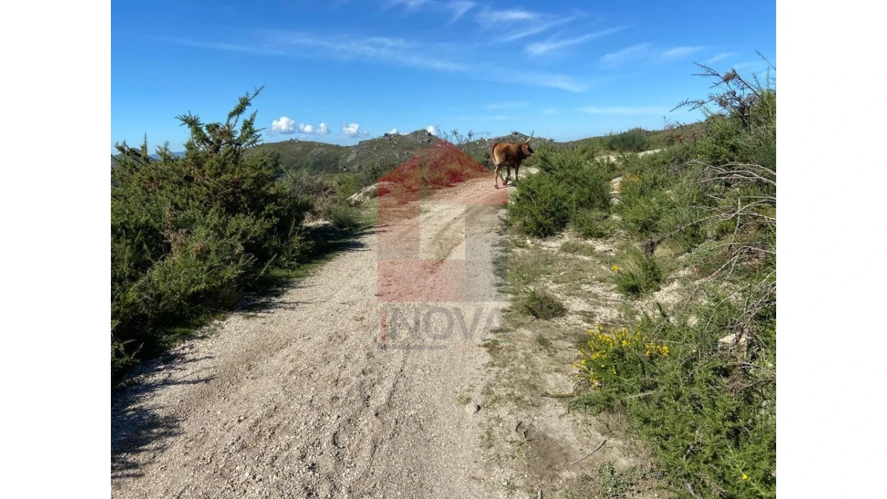 Terreno para Venda em Valdreu Foto 5