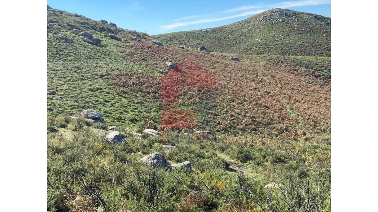 Terreno para Venda em Valdreu Foto 4