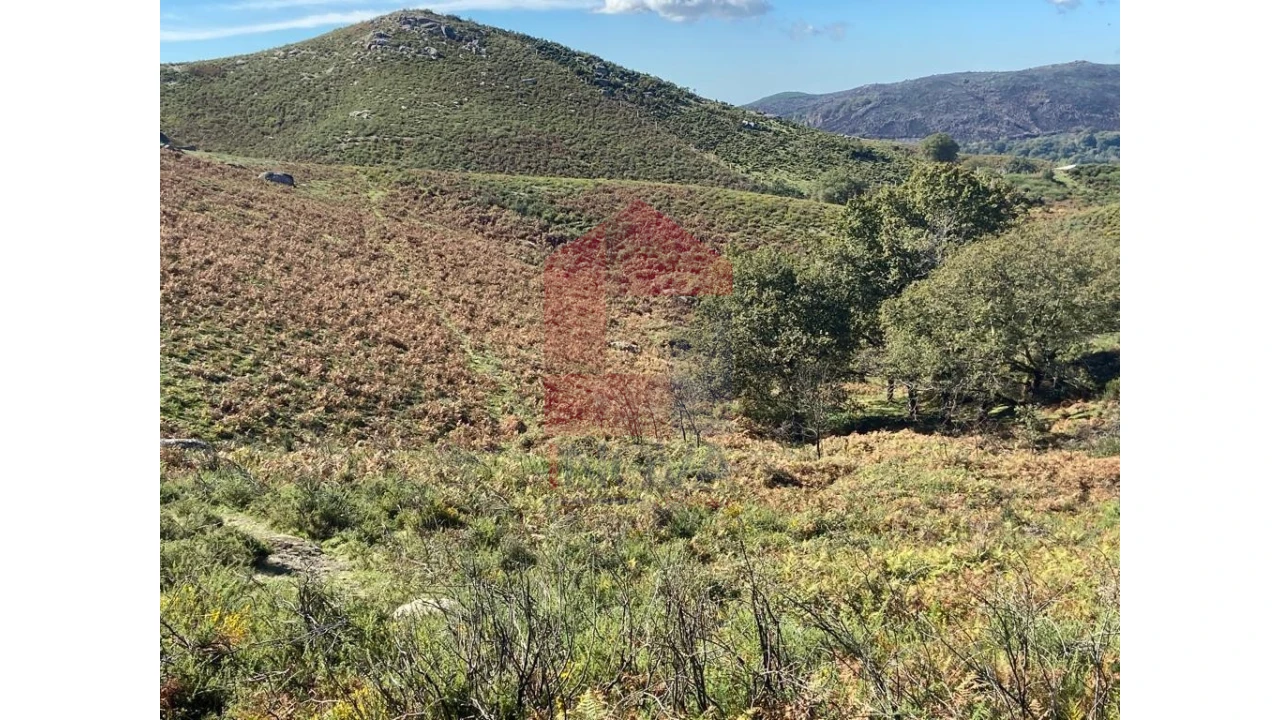 Terreno para Venda em Valdreu Foto 2