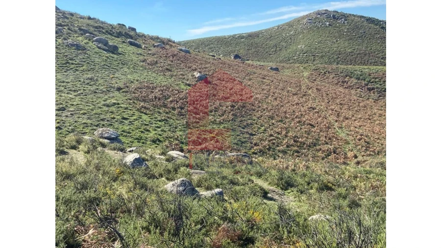 Terreno para Venda em Valdreu Foto 4