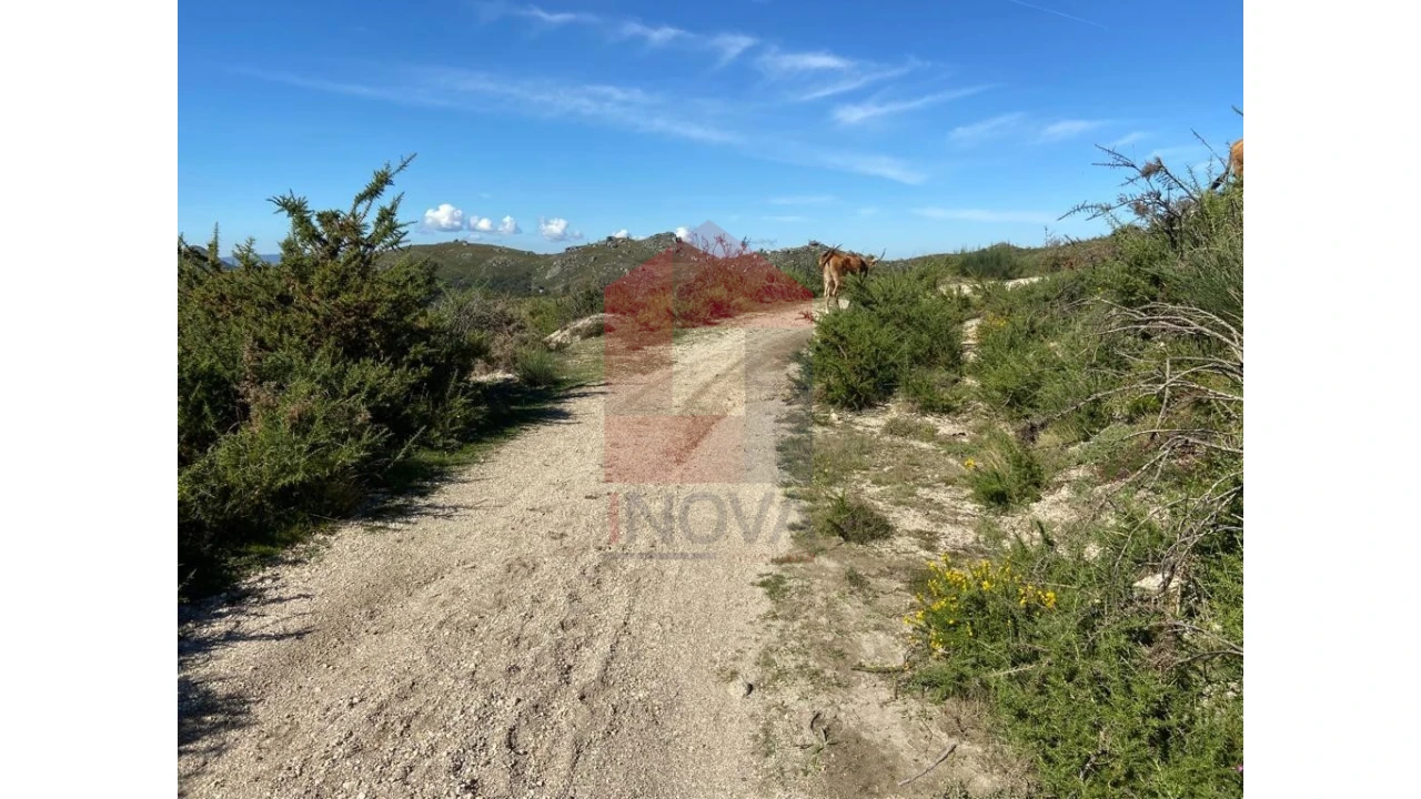 Terreno para Venda em Valdreu Foto 7
