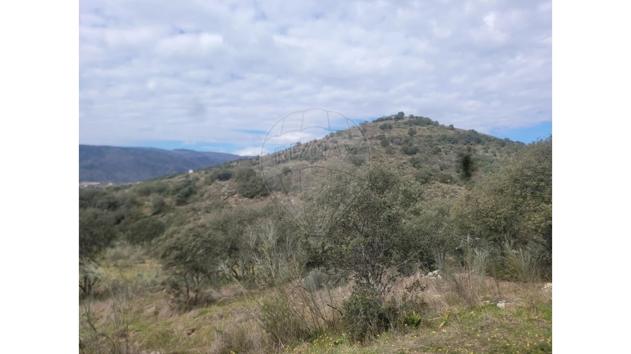 Terreno para Venda em Torre de Moncorvo Foto 13
