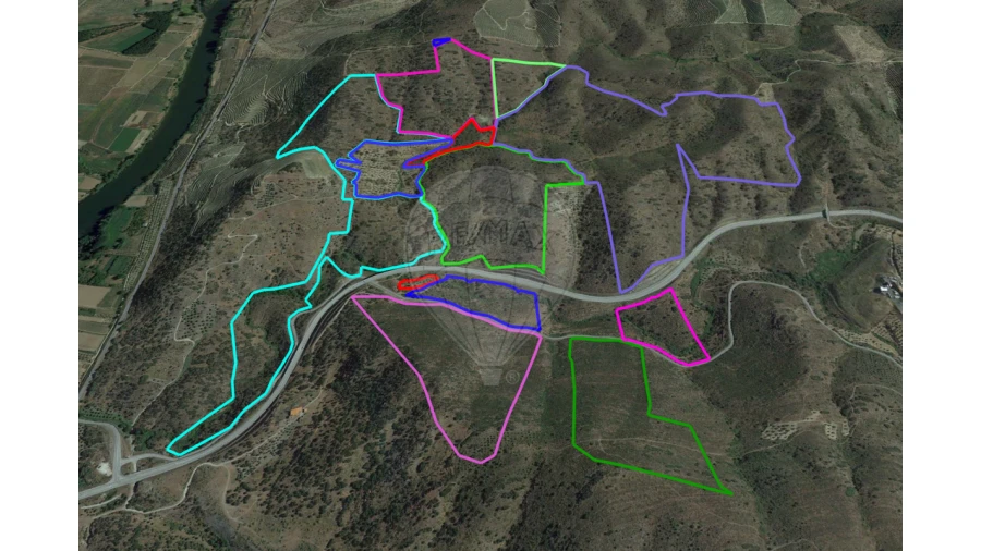 Terreno para Venda em Torre de Moncorvo Foto 17