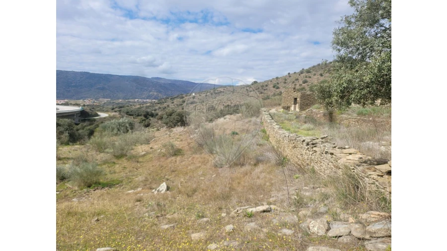 Terreno para Venda em Torre de Moncorvo Foto 16