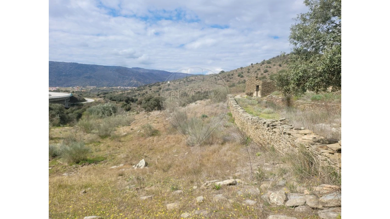 Terreno para Venda em Torre de Moncorvo Foto 16