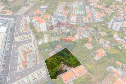 Terreno para Venda em São Martinho