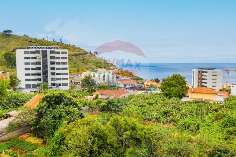 Terreno para Venda em São Martinho Foto 7