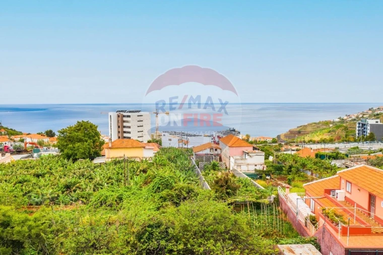 Terreno para Venda em São Martinho Foto 6