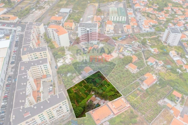Terreno para Venda em São Martinho Foto 5
