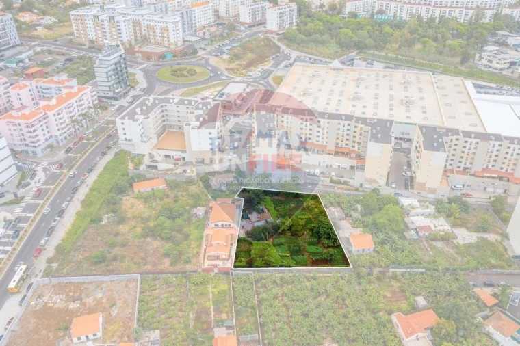 Terreno para Venda em São Martinho Foto 3