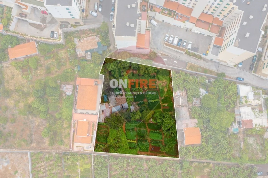 Terreno para Venda em São Martinho Foto 2