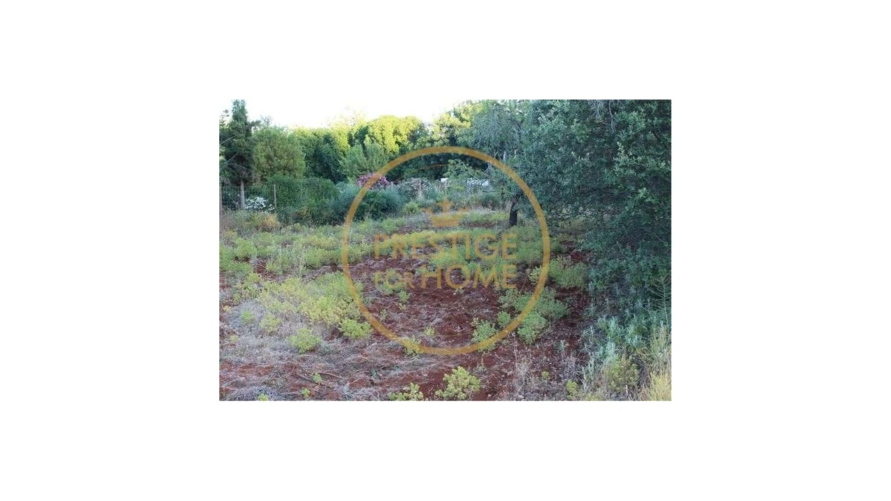 Terreno para Venda em Boliqueime Foto 8