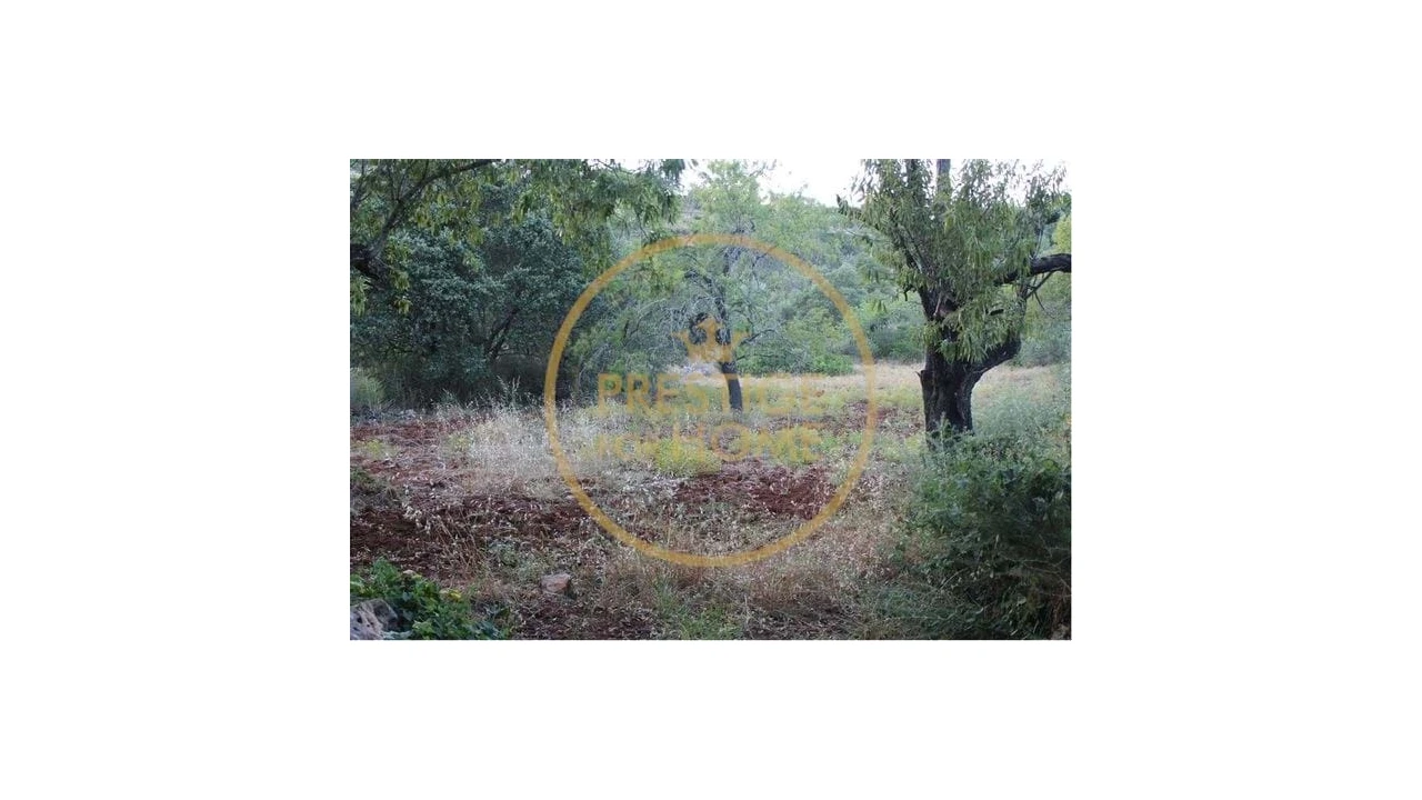 Terreno para Venda em Boliqueime Foto 3