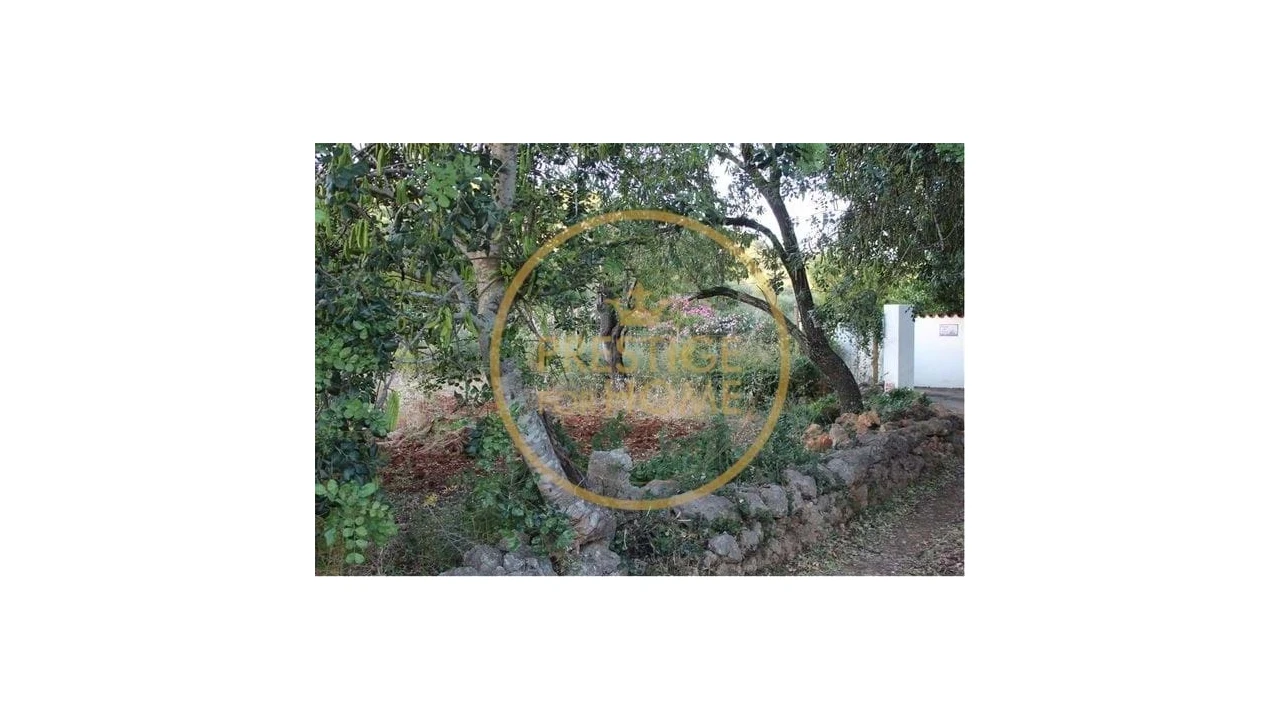 Terreno para Venda em Boliqueime Foto 2