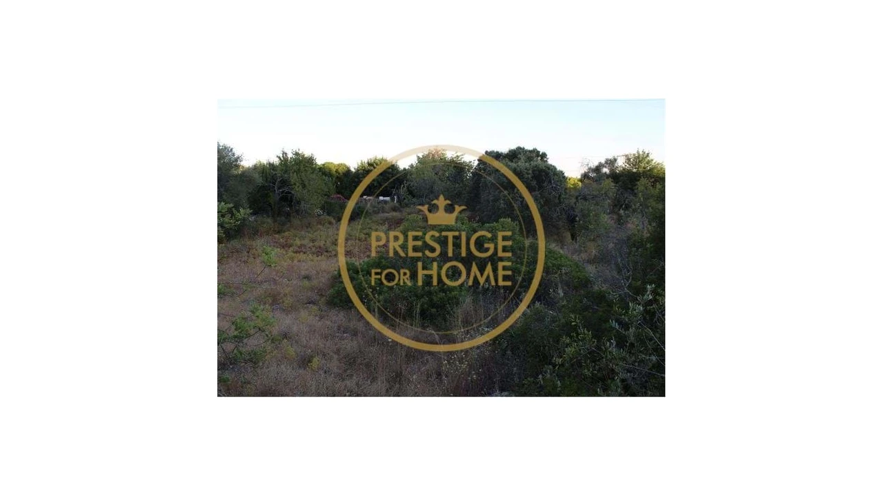 Terreno para Venda em Boliqueime Foto 6