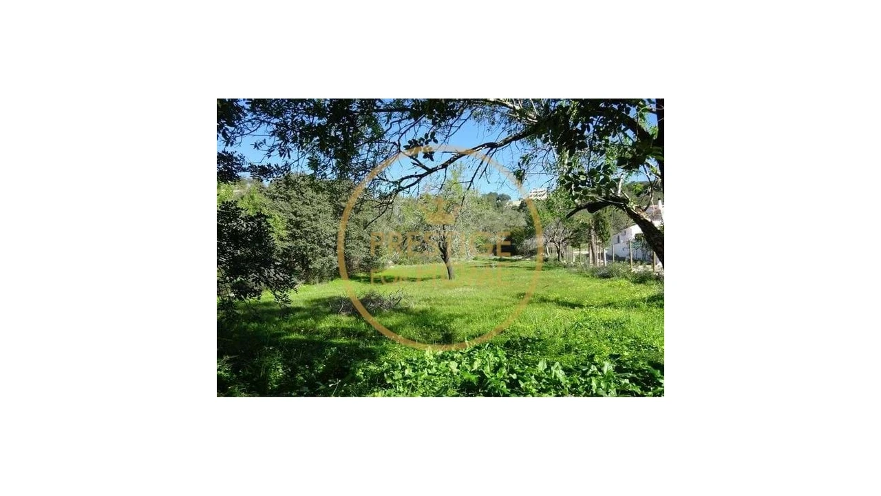 Terreno para Venda em Boliqueime Foto 1