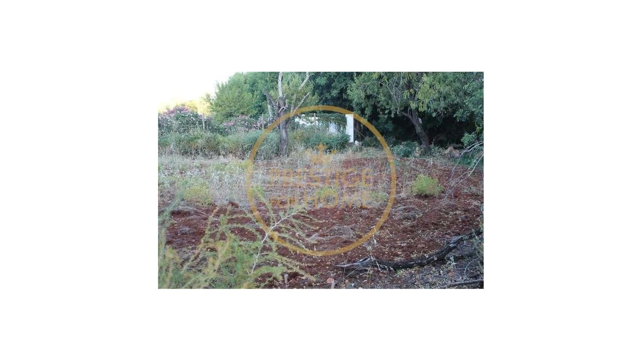 Terreno para Venda em Boliqueime Foto 7