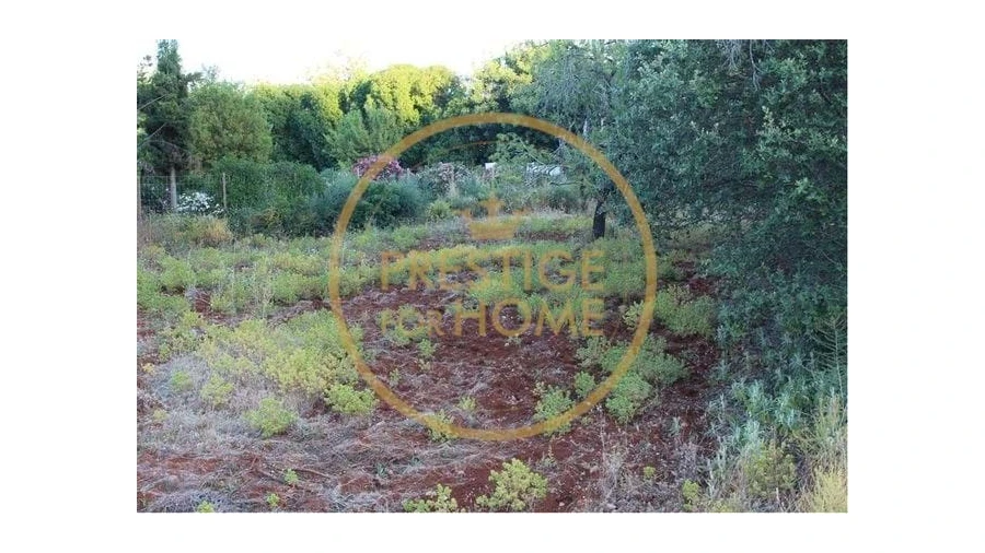 Terreno para Venda em Boliqueime Foto 8