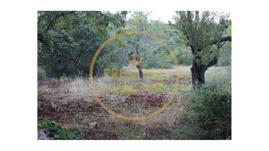 Terreno para Venda em Boliqueime Foto 3