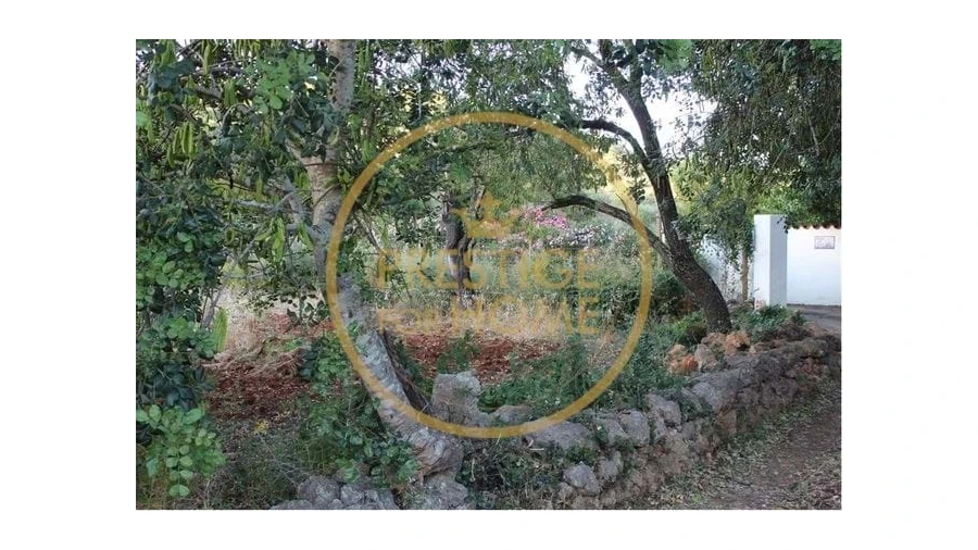 Terreno para Venda em Boliqueime Foto 2