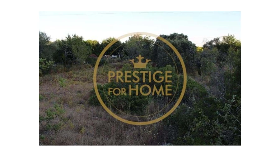 Terreno para Venda em Boliqueime Foto 6