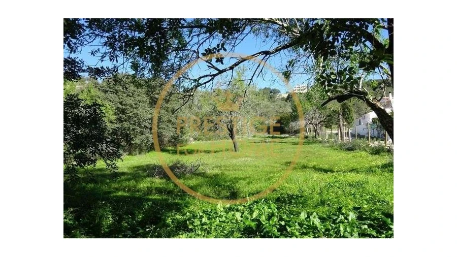 Terreno para Venda em Boliqueime