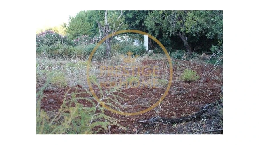 Terreno para Venda em Boliqueime Foto 7