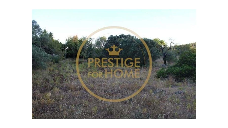 Terreno para Venda em Boliqueime Foto 5