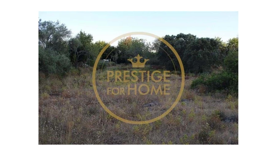 Terreno para Venda em Boliqueime Foto 4