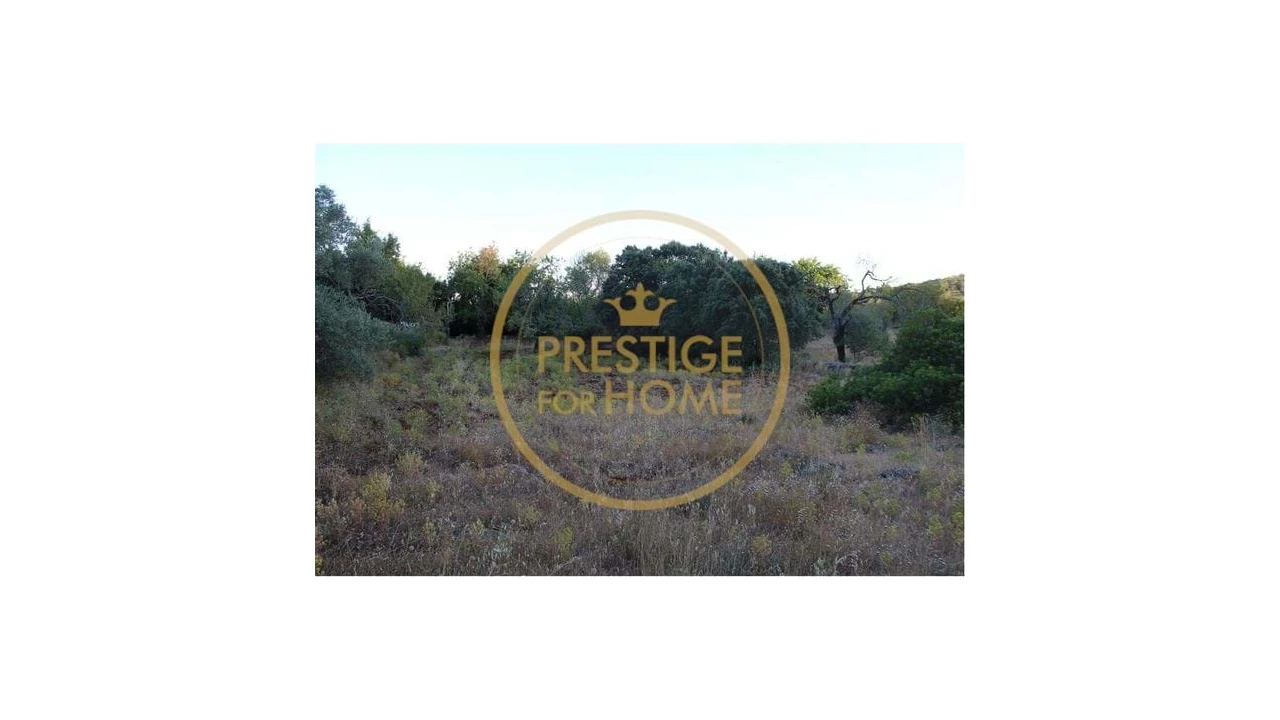 Terreno para Venda em Boliqueime Foto 5