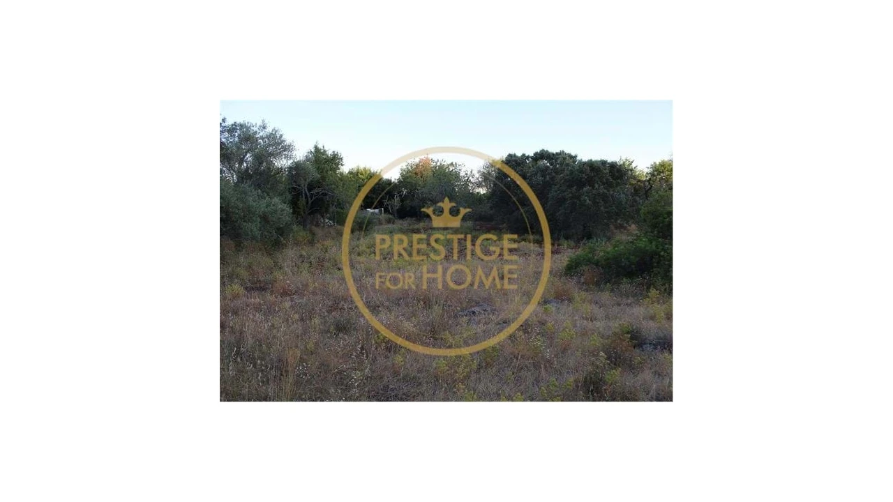 Terreno para Venda em Boliqueime Foto 4