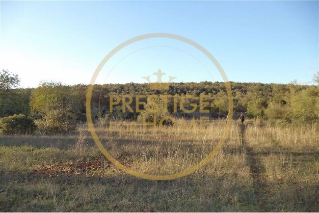Terreno para Venda em Loule (São Sebastião) Foto 32
