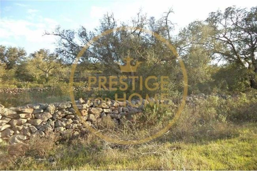 Terreno para Venda em Loule (São Sebastião) Foto 22