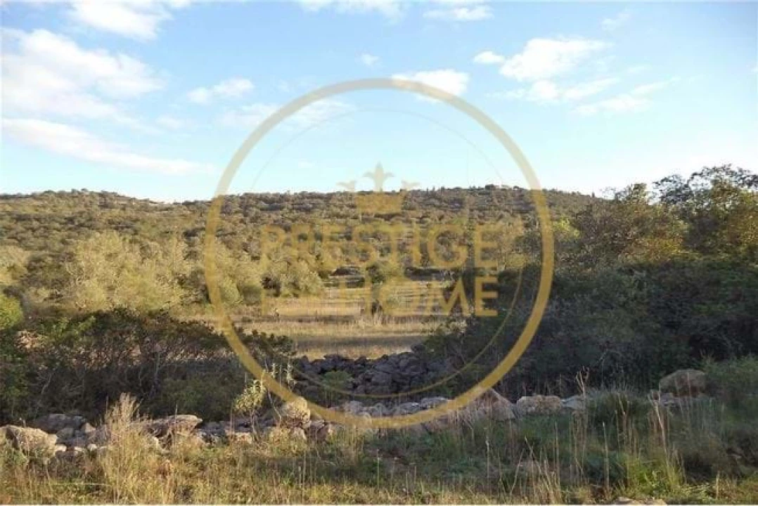 Terreno para Venda em Loule (São Sebastião) Foto 7