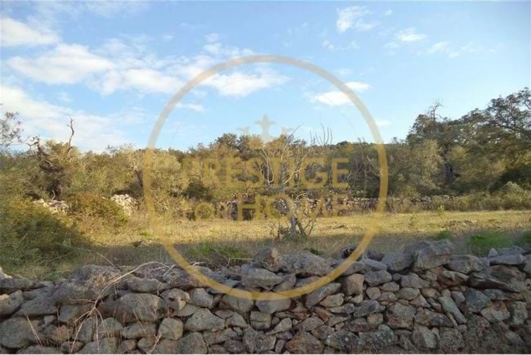 Terreno para Venda em Loule (São Sebastião) Foto 19