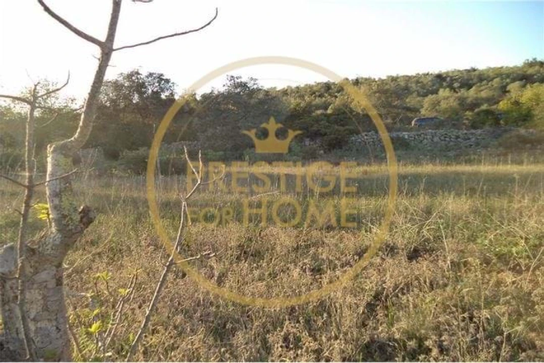 Terreno para Venda em Loule (São Sebastião) Foto 33