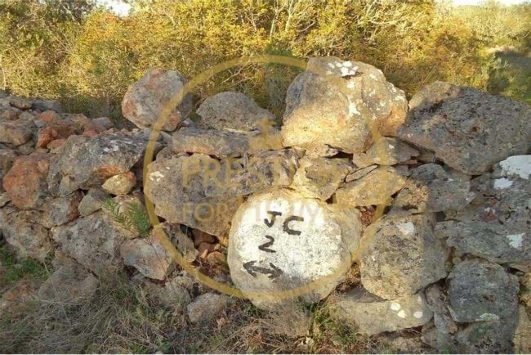 Terreno para Venda em Loule (São Sebastião) Foto 29