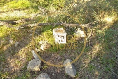 Terreno para Venda em Loule (São Sebastião)