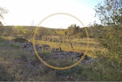 Terreno para Venda em Loule (São Sebastião)