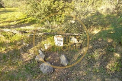 Terreno para Venda em Loule (São Sebastião)