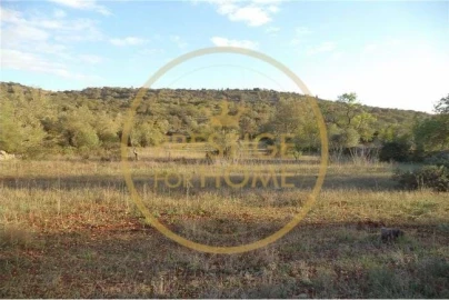 Terreno para Venda em Loule (São Sebastião)