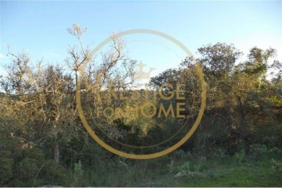Terreno para Venda em Loule (São Sebastião)