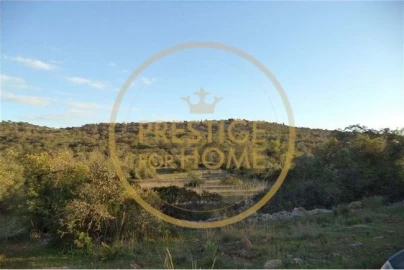 Terreno para Venda em Loule (São Sebastião)