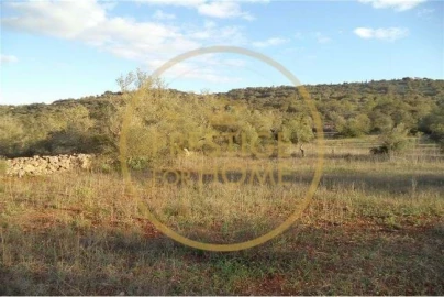 Terreno para Venda em Loule (São Sebastião)
