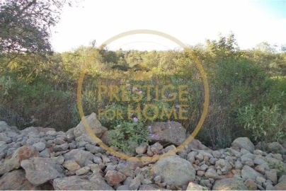 Terreno para Venda em Loule (São Sebastião)