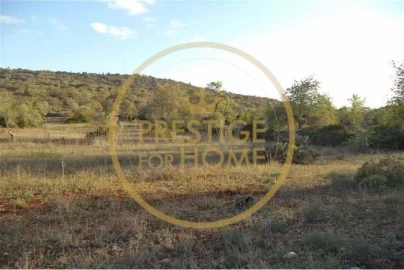 Terreno para Venda em Loule (São Sebastião)