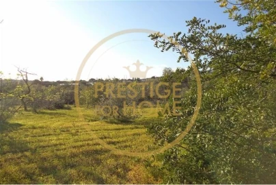 Terreno para Venda em Loule (São Sebastião)